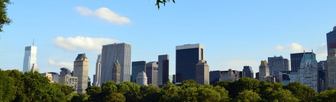 A lawn in Central Park with the city skyline in the background.