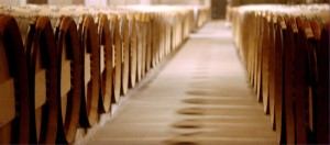 Barrels of wine in a winery.
